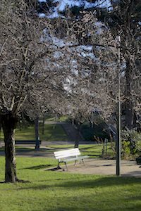 Jardin en hiver