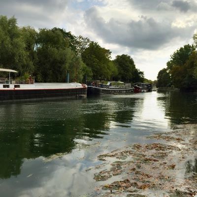 Des péniches en bord de Seine dans un environnement bucolique